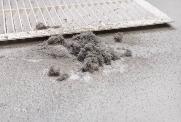 Best Affordable HVAC Duct Cleaning  in Walker, LA