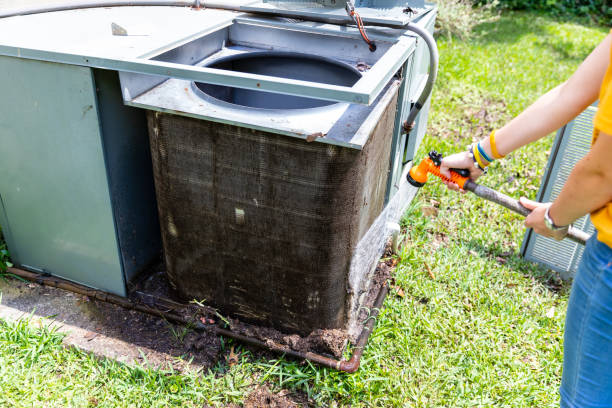 Best Air Duct Mold Removal  in Walker, LA