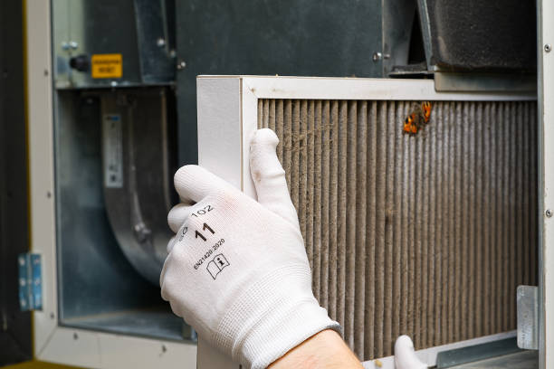 Air Duct Mold Removal in LA
