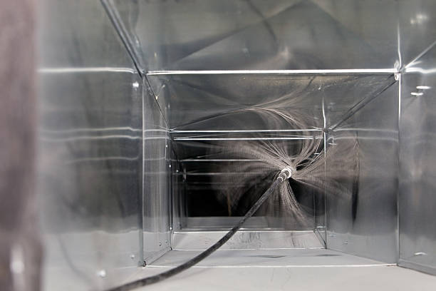 Best Local Air Duct Cleaning Services  in Walker, LA