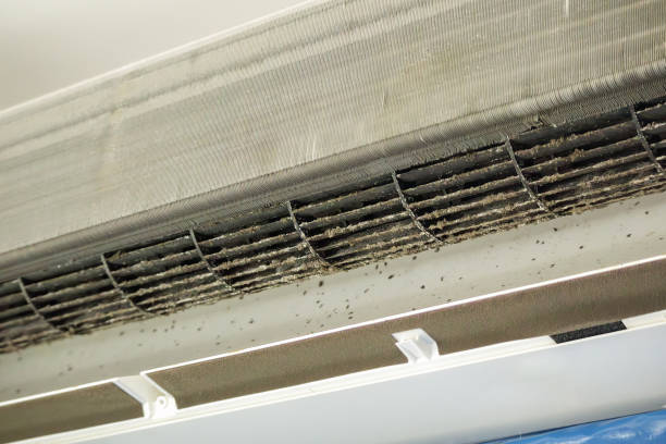 Best Air Duct Cleaning Cost  in Walker, LA
